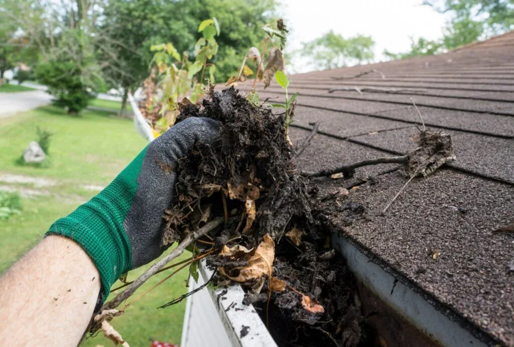 Commercial Gutter Cleaning Prices: Ocala Business Owners