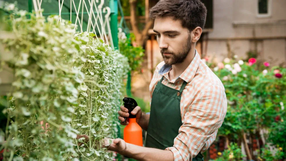 A Manager's Guide to Commercial Lawn Care in Ocala, FL