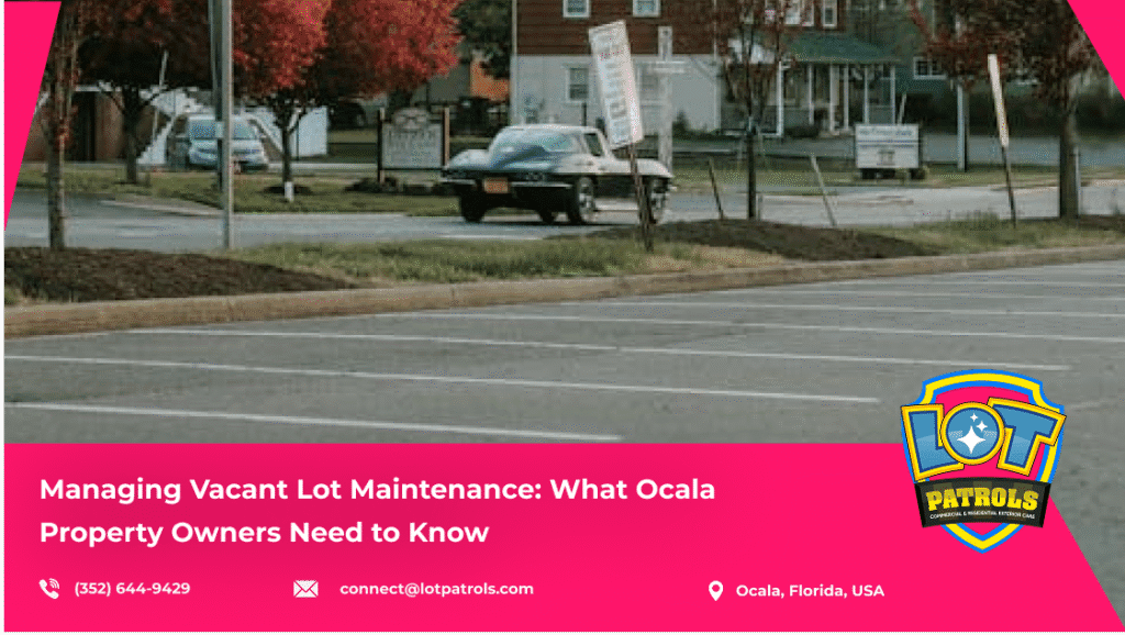 Managing Vacant Lot Maintenance_ What Ocala Property Owners Need to Knowblog