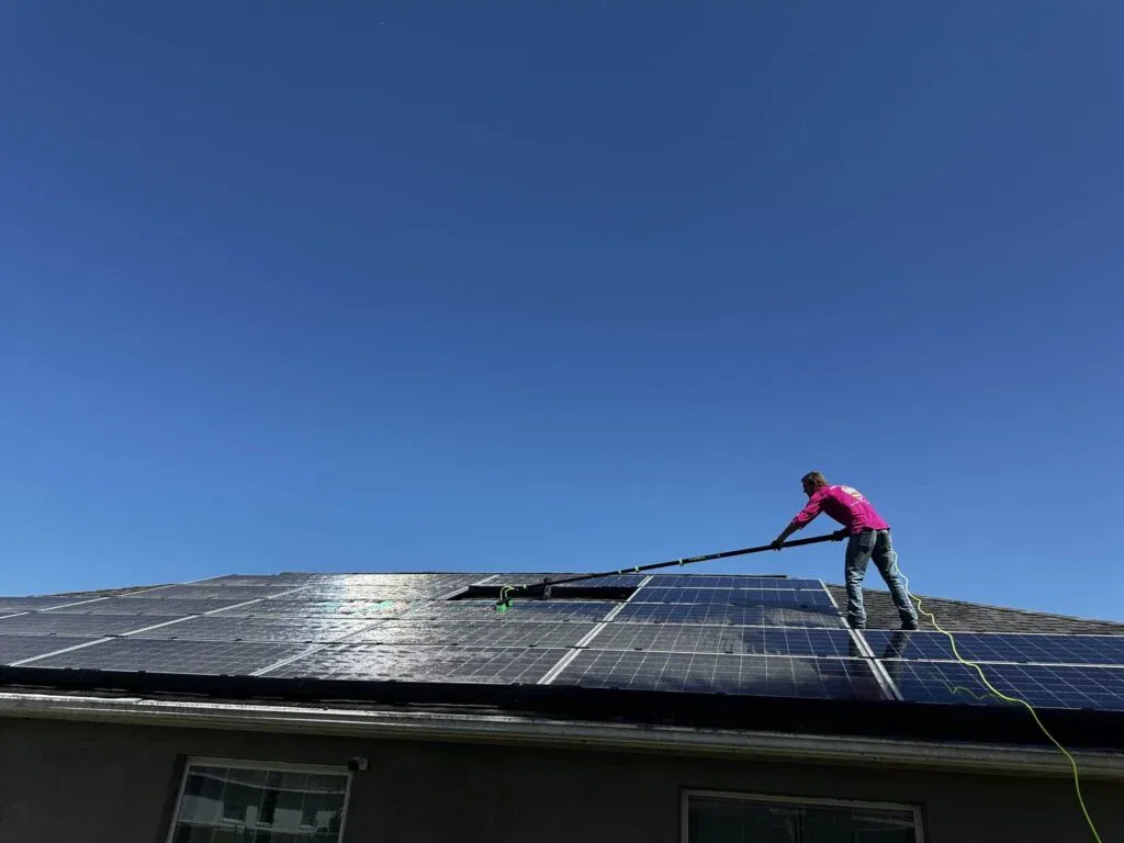 An overhead view of a residential roof with multiple rows of dark blue solar panels installed on gray asphalt shingles