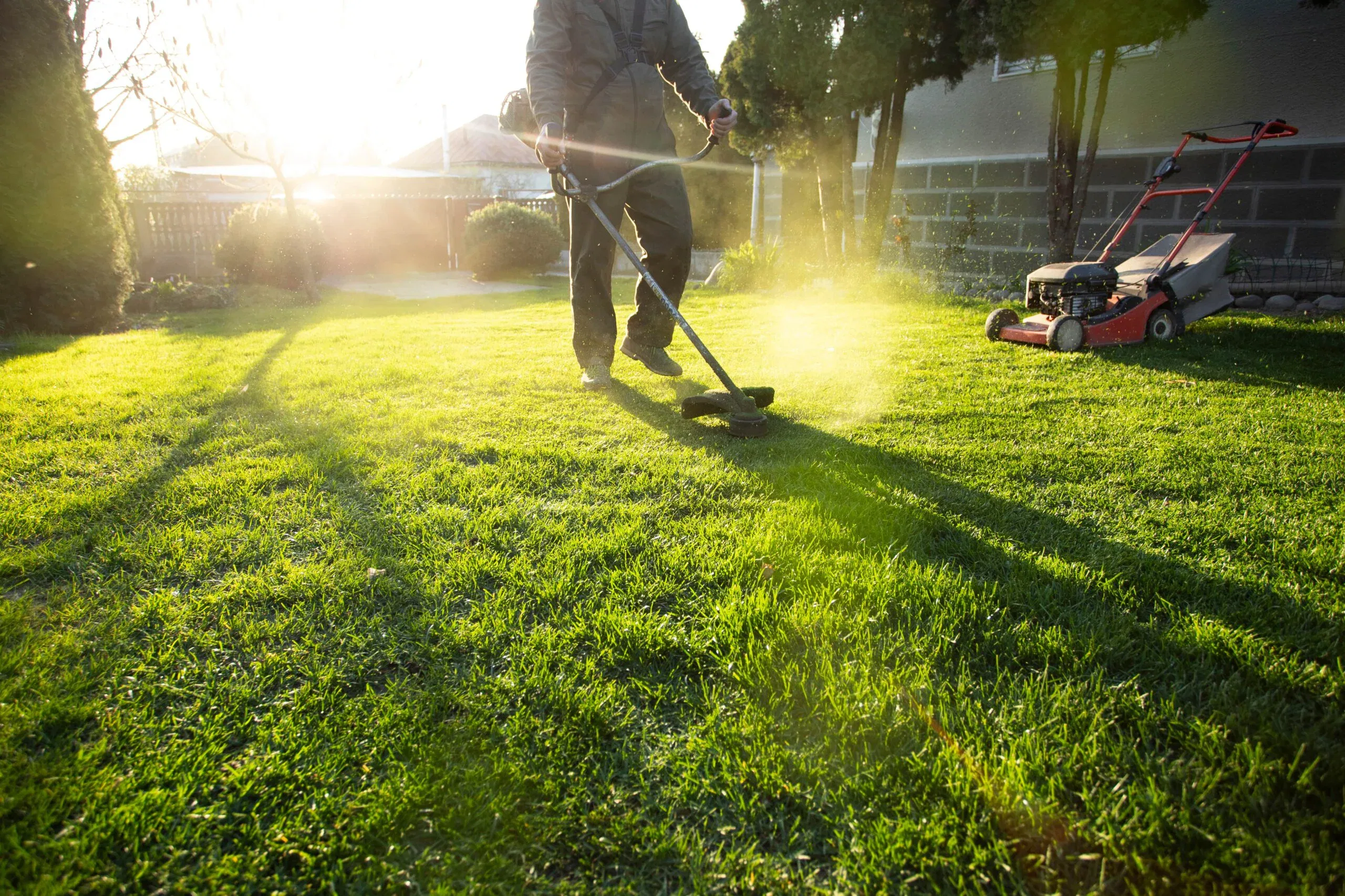 A professional landscaper using a string trimmer to edge a lush green lawn during a bright sunset, with a red lawn mower visible in the background.