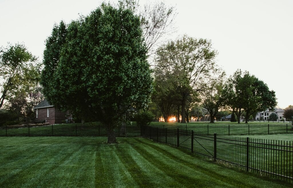 Find Top Lawn Maintenance Services Near Me