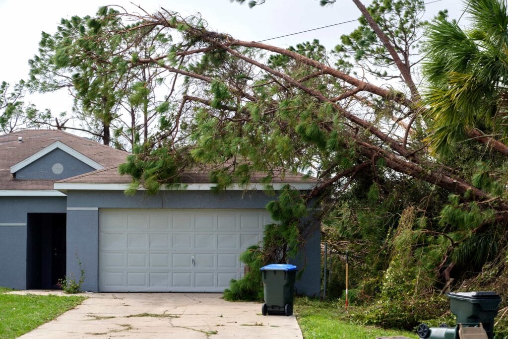Post-Storm Recovery in Ocala for The Ultimate Commercial Guide