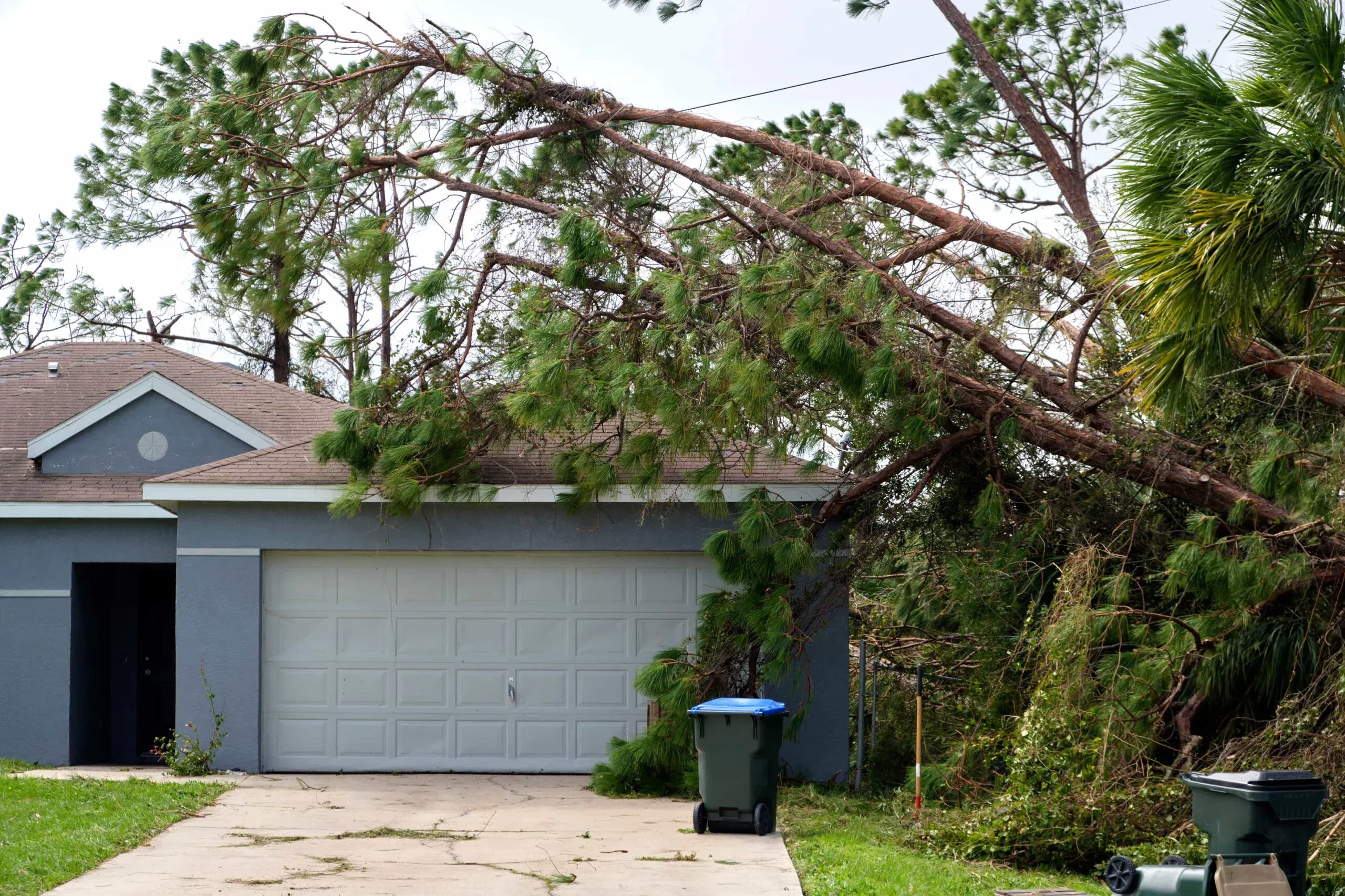 Large pine tree fallen on a residential garage roof after a storm, requiring emergency tree removal in Central Florida.