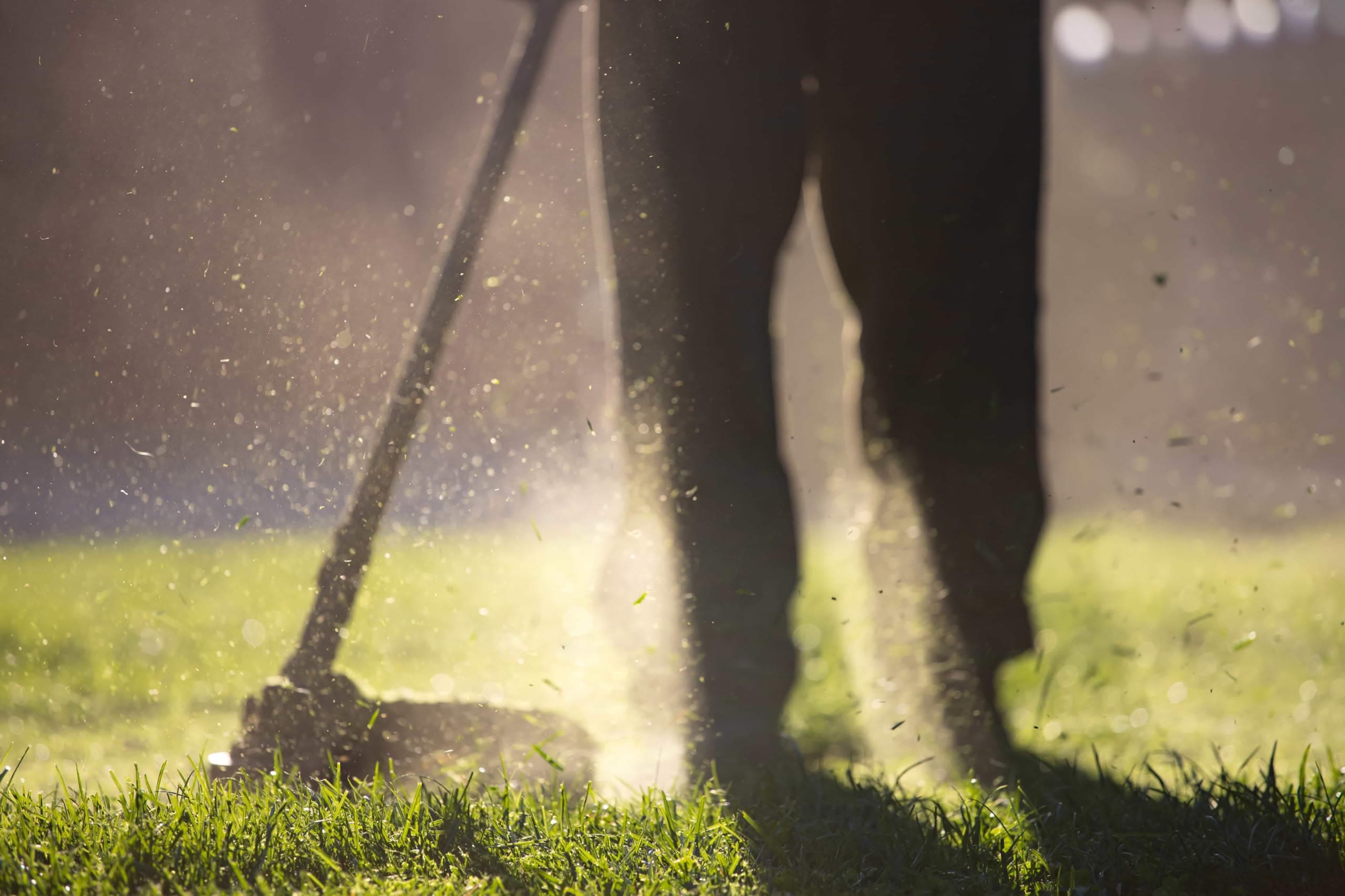 A professional operating a lawn trimmer for grass cutting service in Ocala, FL and best height to cut grass.