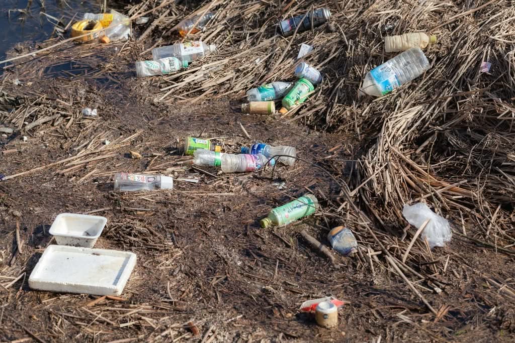 View of soil and groundwater contamination caused by illegal dumping on unmonitored commercial acreage, highlighting environmental remediation needs.