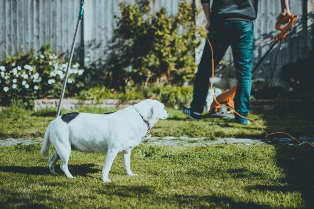 Ocala Lawn Care: Proven Expert Guide to a Thriving Yard