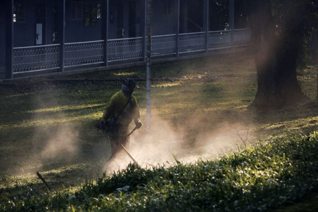 Who Cuts Grass Near Me? Trusted Ocala Lawn Experts 2026