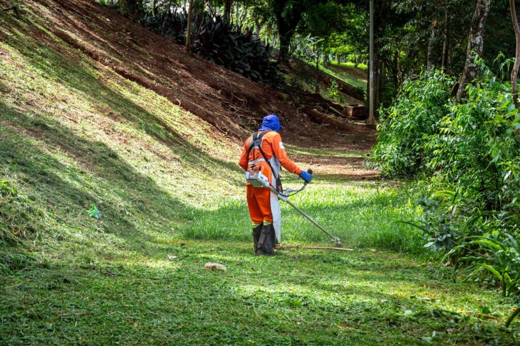 Lawn Care Services Rainbow Park: A 2026 Homeowner’s Guide